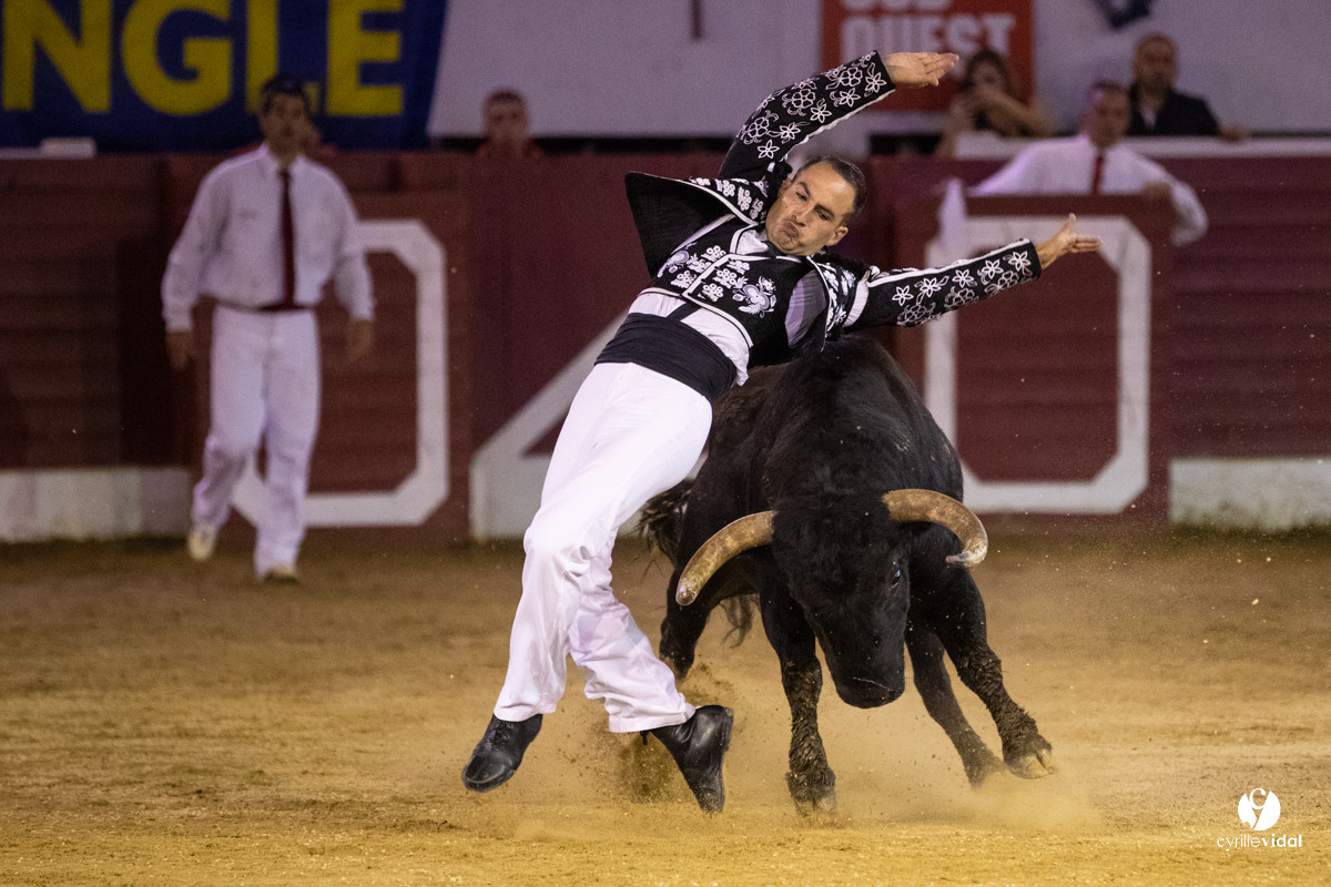 Landes émotions à Aire-sur-l'Adour