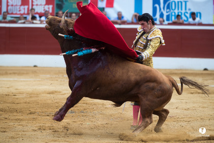 Mont-de-Marsan corrida de Jandilla pour Padilla - Talavante - Roca Rey