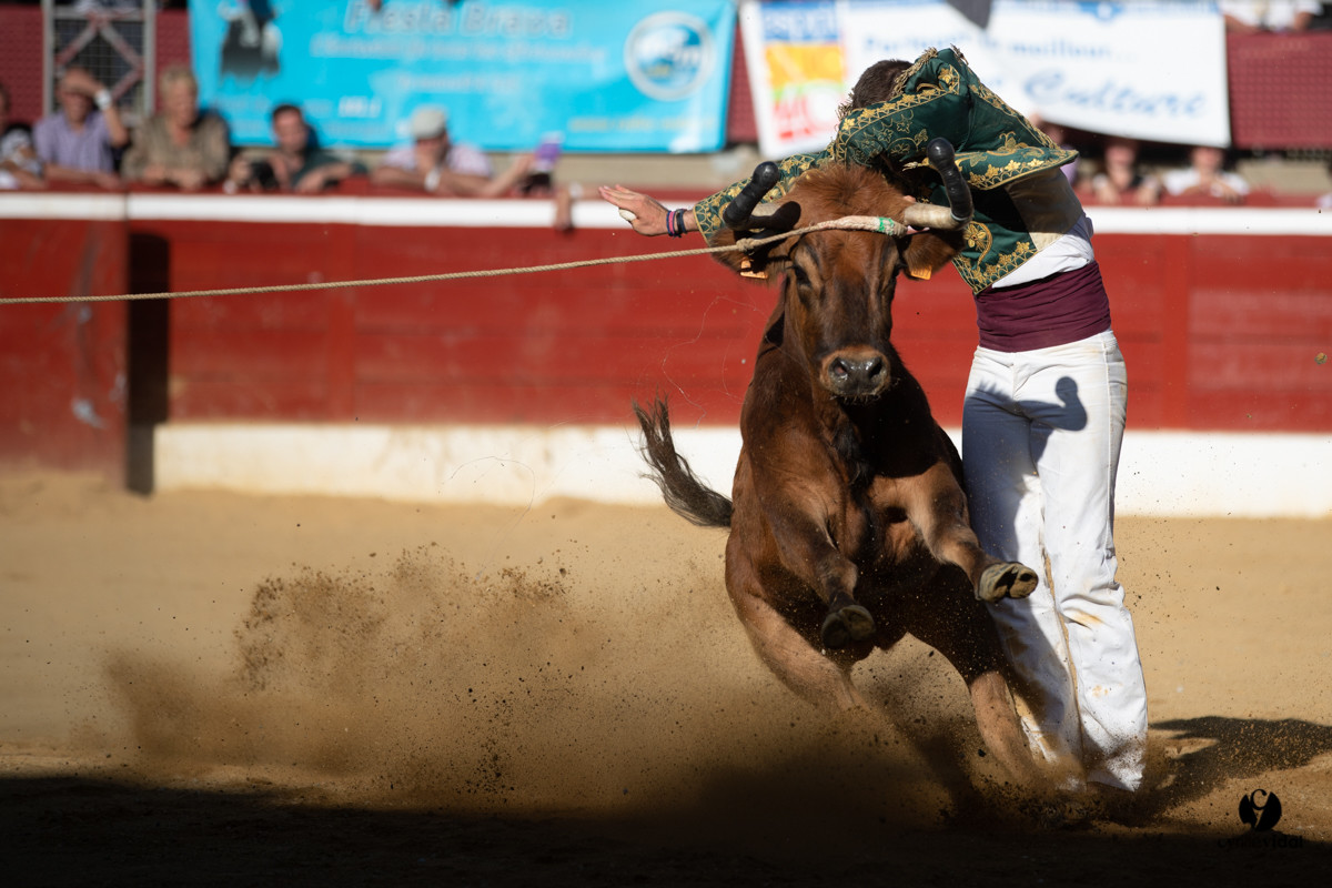 Mont-de-Marsan championnat de France de course landaise 2019