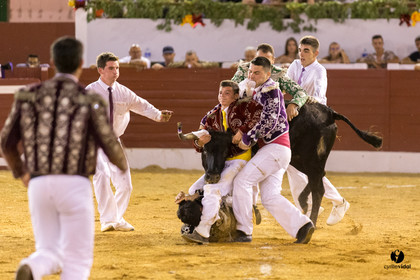 Aire sur l'Adour course landaise génération Aturine