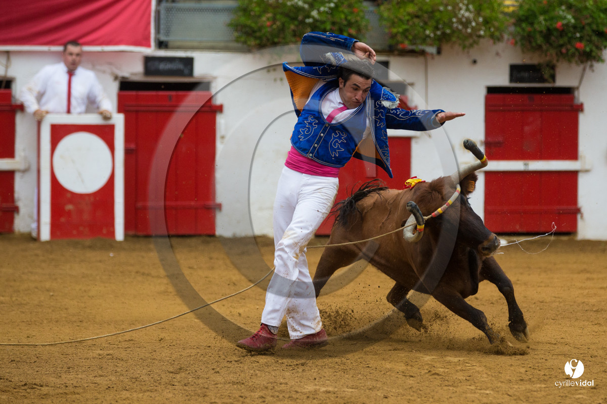 Nogaro Championnatde France de Course Landaise 2017