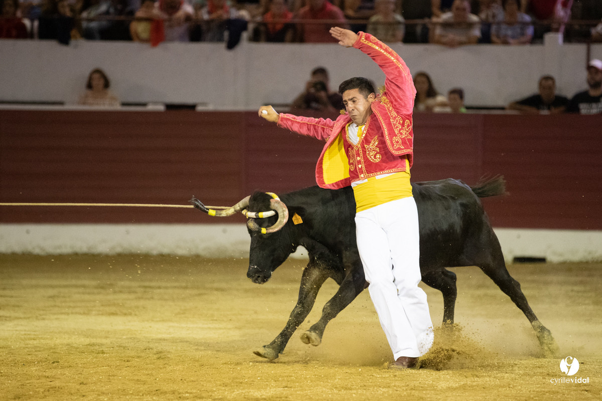 Landes émotions à Aire-sur-l'Adour