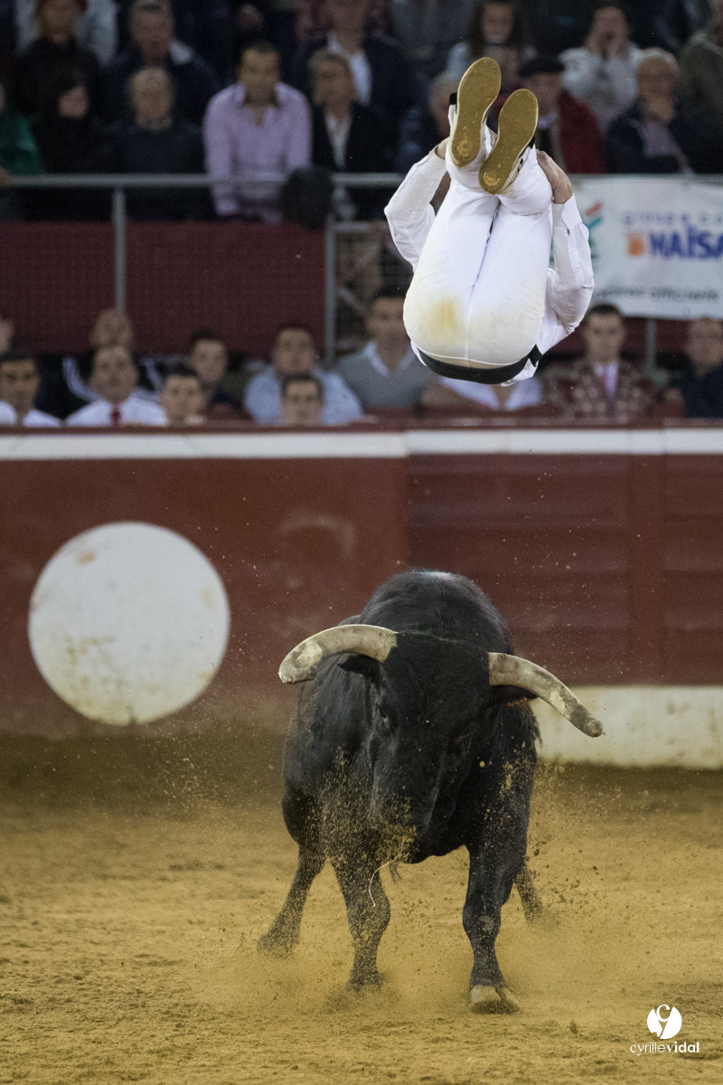 Mont-de-Marsan festival Art et Courage