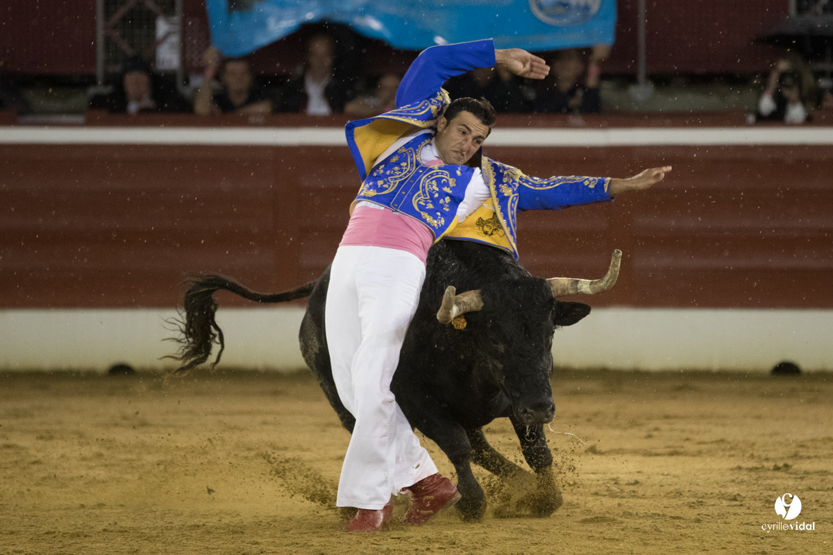 Mont-de-Marsan festival Art et Courage