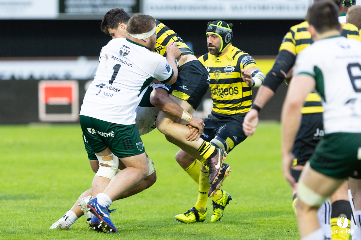 Stade Montois Rugby - Montauban