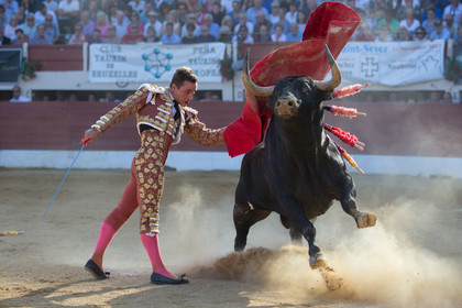corrida, toro, vic fezensac, alcurrucen, michelito, morenito de aranda