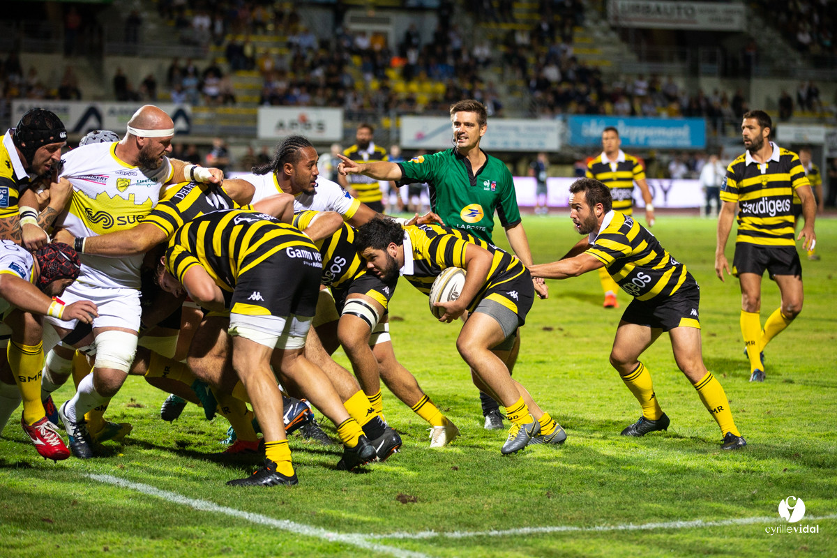 Stade Montois Rugby - Carcassonne