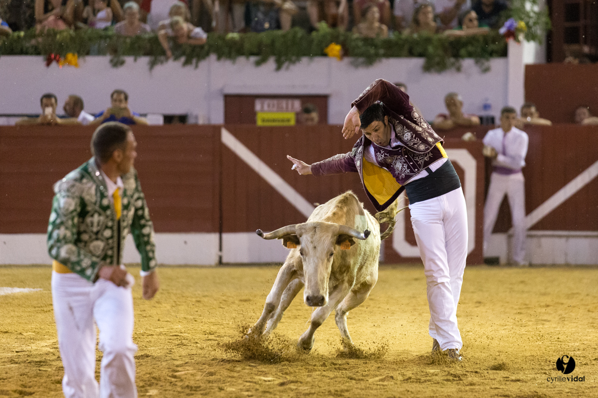 Aire sur l'Adour course landaise génération Aturine