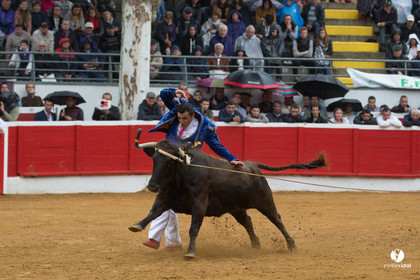 Nogaro Championnatde France de Course Landaise 2017