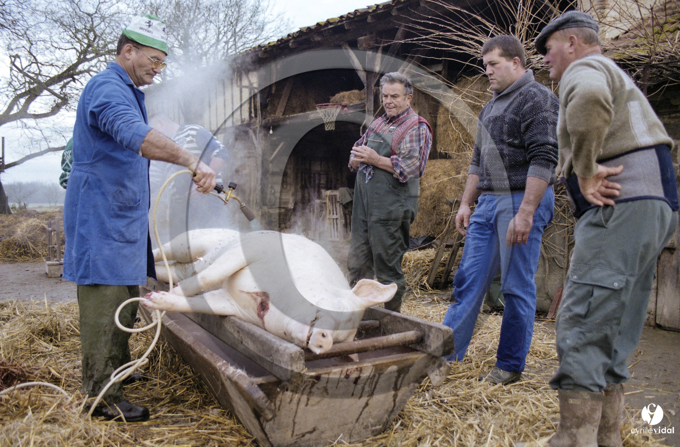 Jours de pelère
