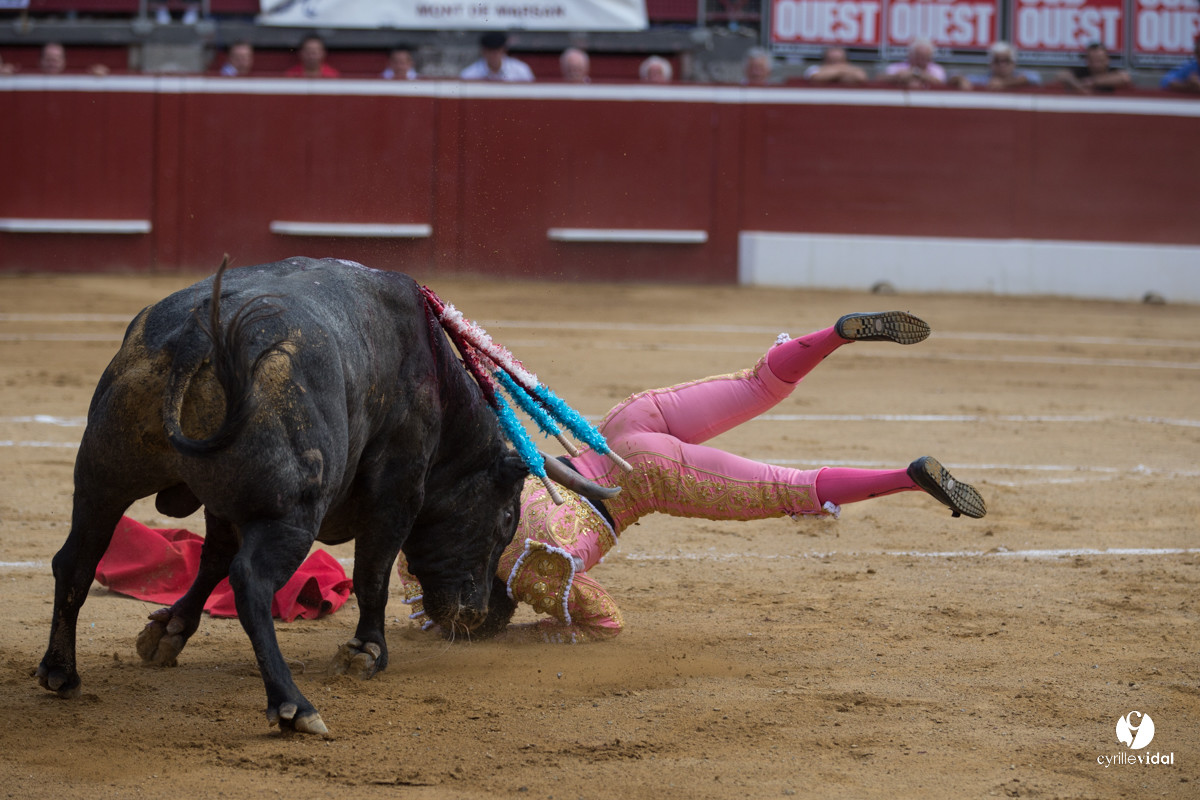 Mont-de-Marsan corrida d'Adolfo Martin