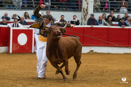 Nogaro Championnatde France de Course Landaise 2017