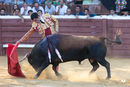 Corrida de Villeneuve-de-Marsan