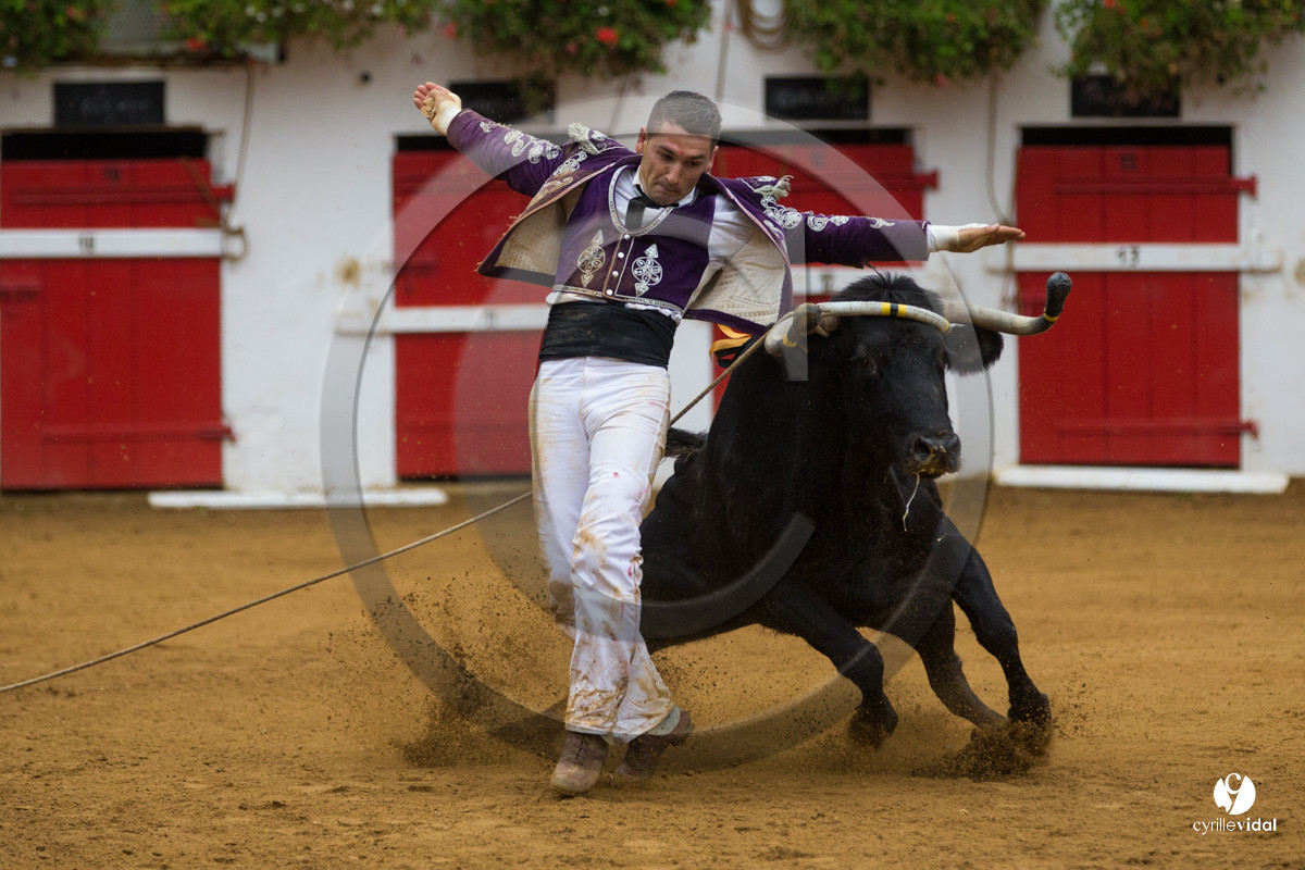 Nogaro Championnatde France de Course Landaise 2017