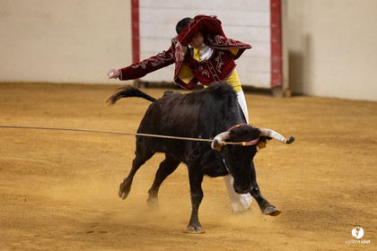 Horsarrieu course landaise du boléro d'Argent