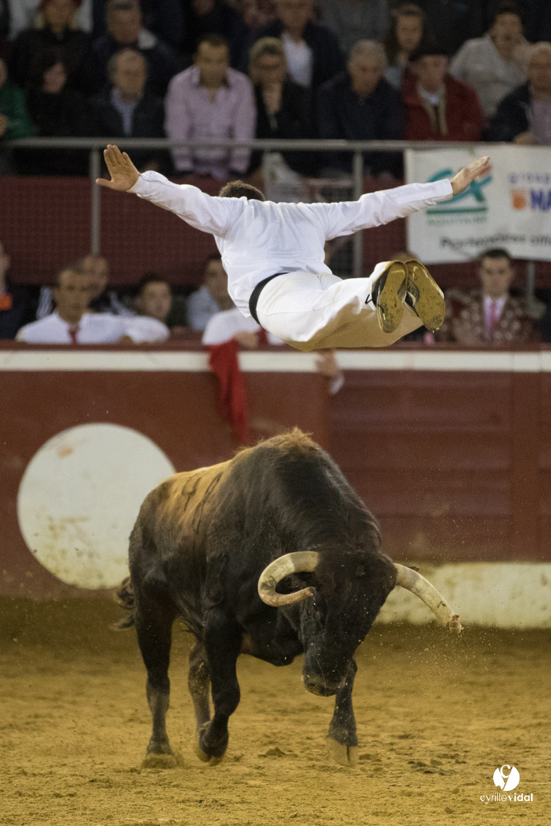 Mont-de-Marsan festival Art et Courage