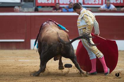 Mont-de-Marsan corrida de Garcigrande pour El Juli et Juan Bautista