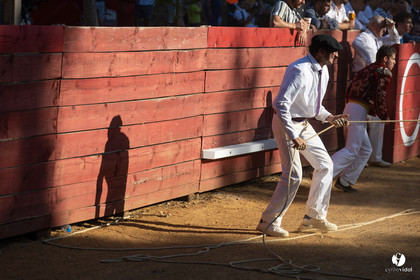 Course landaise à Panjas