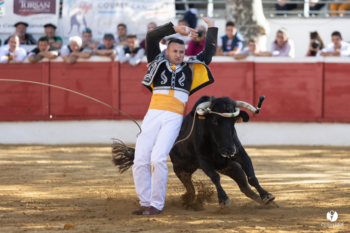 Nogaro Championnat de France de course landaise 2022