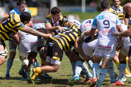 Bayonne - Stade Montois