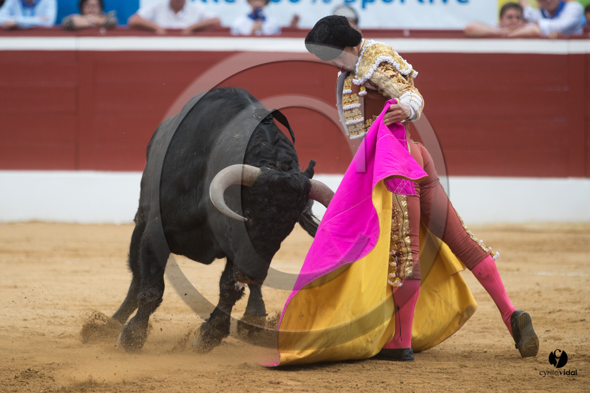 Mont-de-Marsan corrida de Garcigrande pour El Juli et Juan Bautista