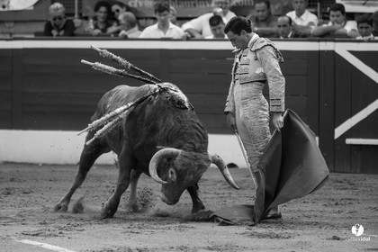 Mont-de-Marsan corrida de Dolores Aguirre pour Octavio Chacon - Pepe Moral - Juan Léal
