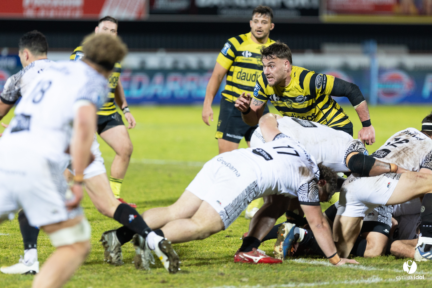 Stade Montois Rugby - Vannes
