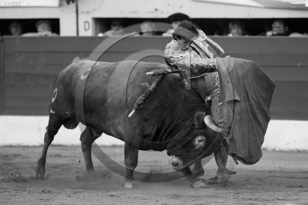 corrida, toro, vic fezensac, alcurrucen, michelito, morenito de aranda