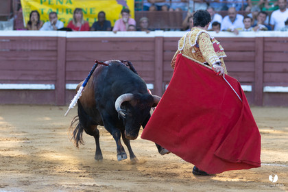 Corrida de Villeneuve-de-Marsan