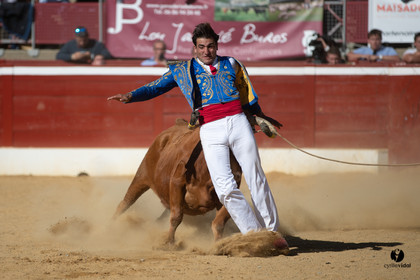 Mont-de-Marsan championnat de France de course landaise 2019