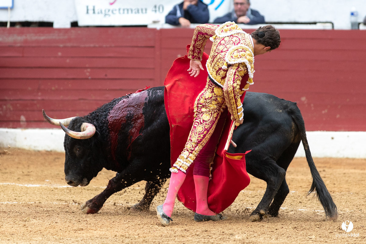 Corrida d'Aire sur l'Adour