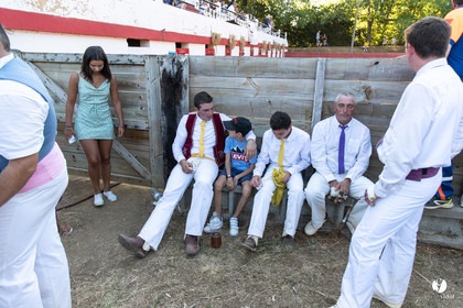 Course landaise à Panjas