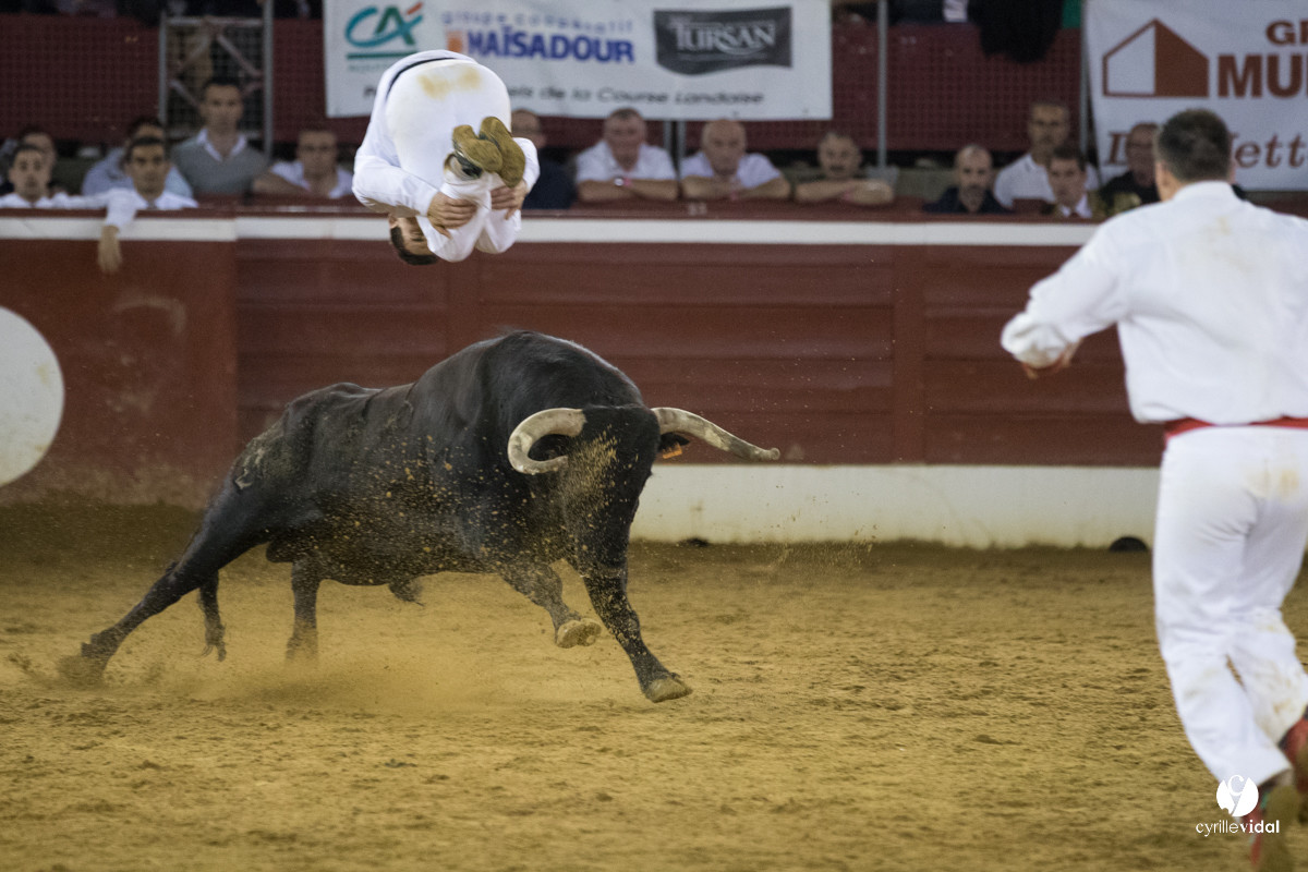Mont-de-Marsan festival Art et Courage