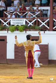 Corrida de Villeneuve-de-Marsan