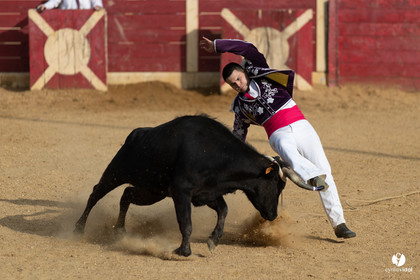 Course landaise Le Houga Ganadéria Dussau Cuadrilla Alexandre Brethes