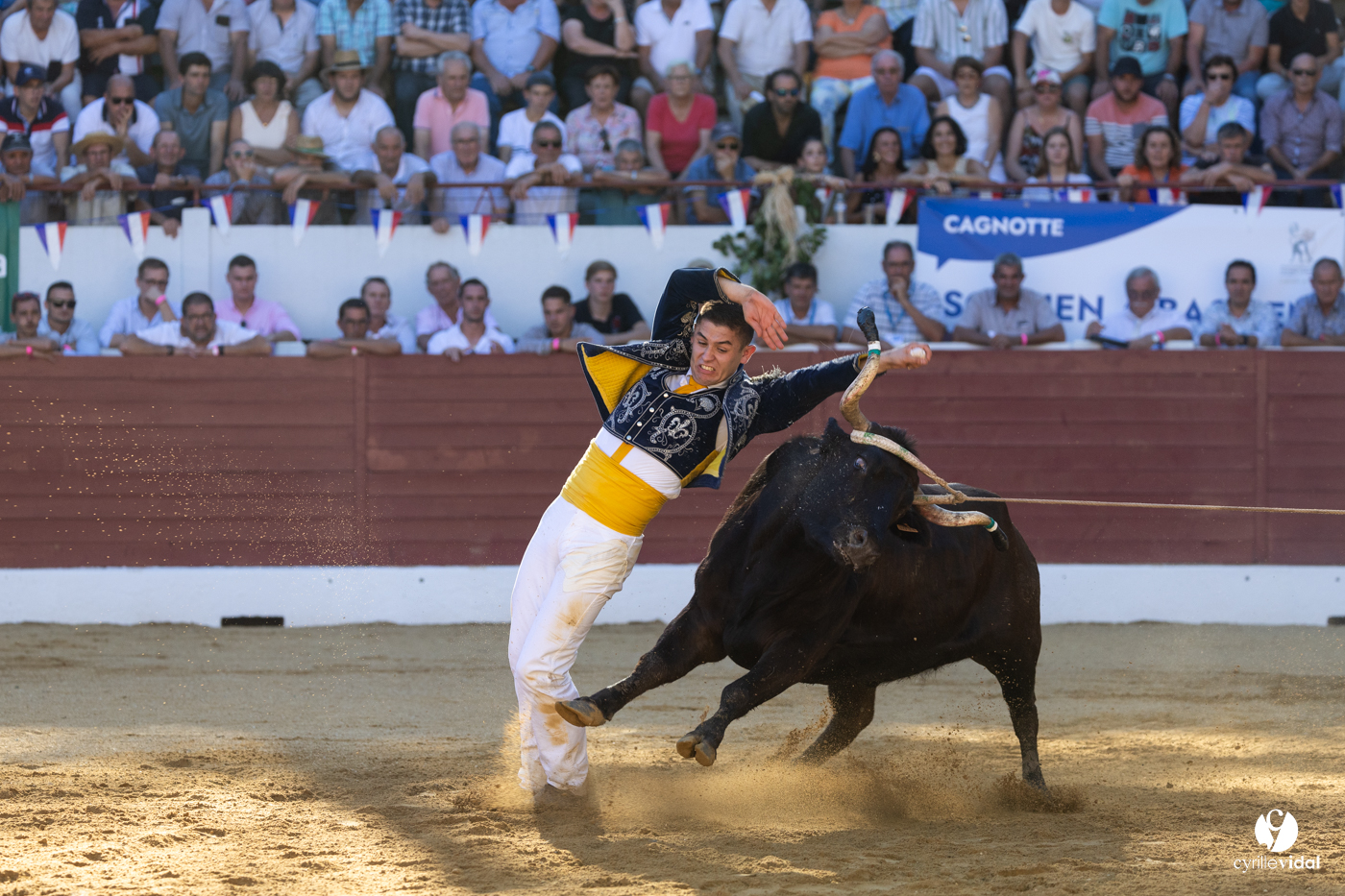 Aire-sur-l'Adour Championnat de France de course landaise 2023