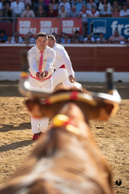 Mont-de-Marsan championnat de France de course landaise 2019