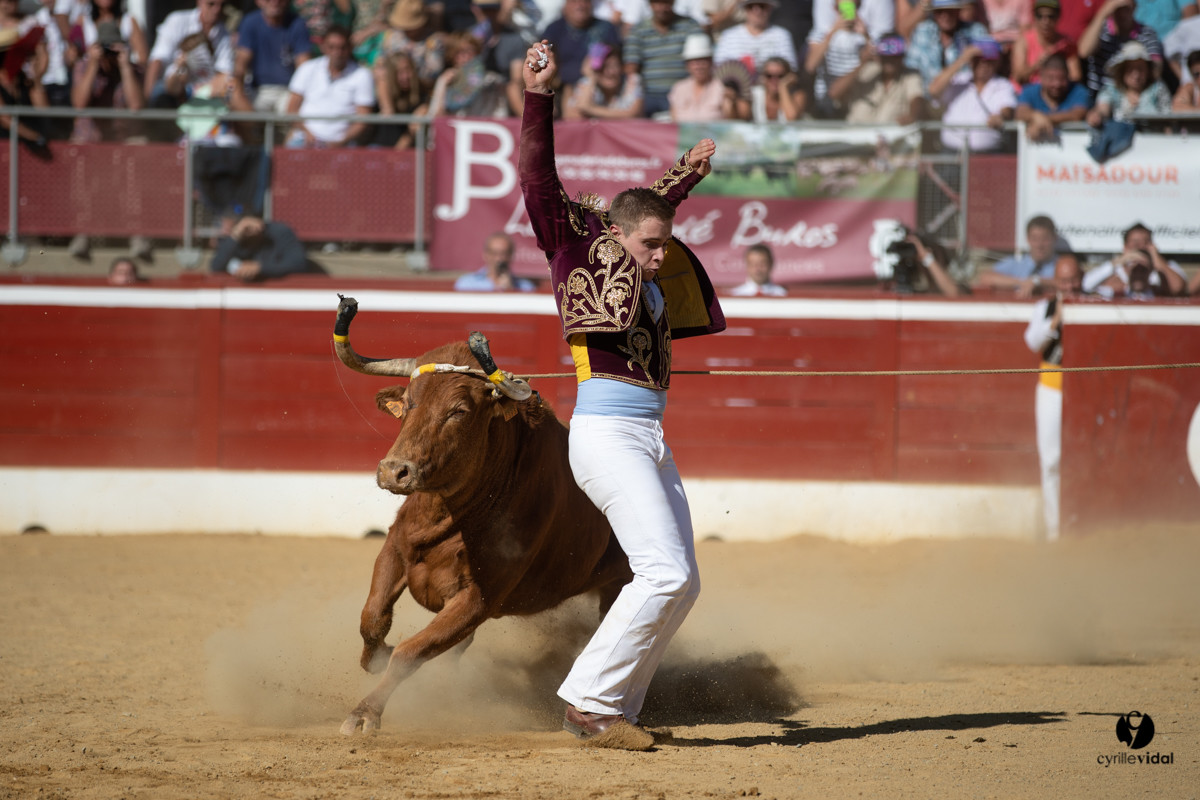 Mont-de-Marsan championnat de France de course landaise 2019