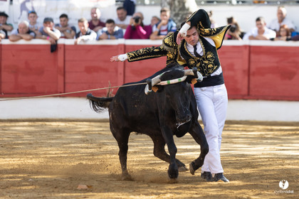 Nogaro Championnat de France de course landaise 2022