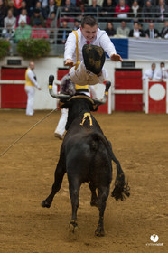Nogaro Championnatde France de Course Landaise 2017
