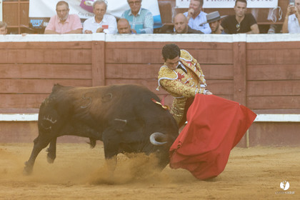 Corrida de Villeneuve-de-Marsan