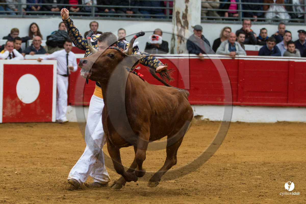 Nogaro Championnatde France de Course Landaise 2017