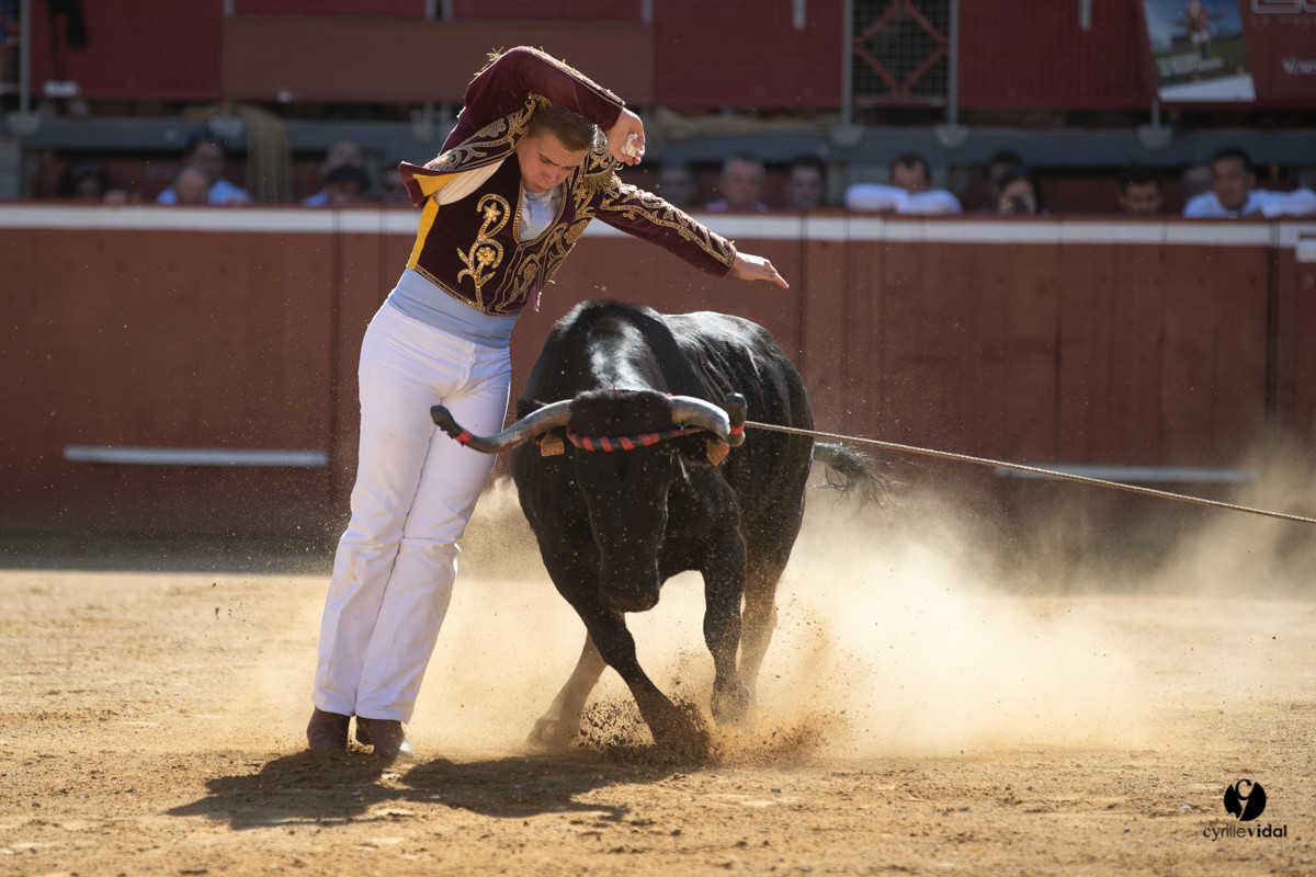Mont-de-Marsan championnat de France de course landaise 2019