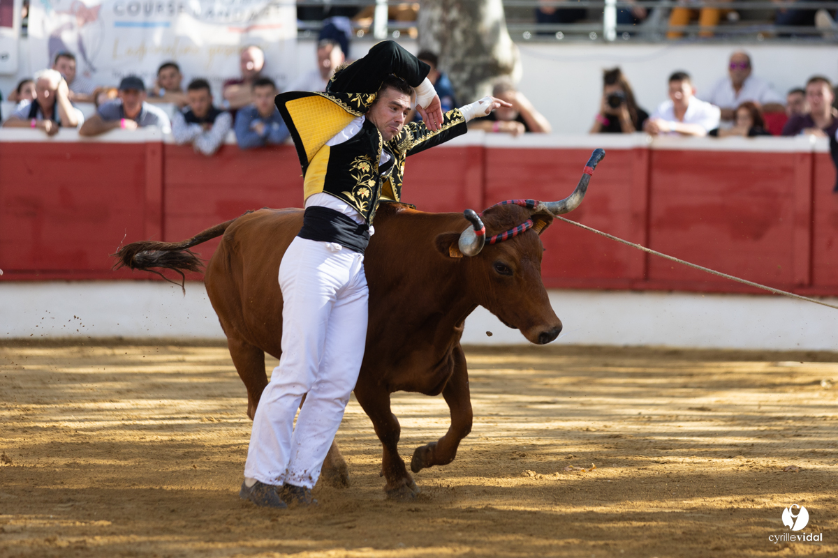 Nogaro Championnat de France de course landaise 2022