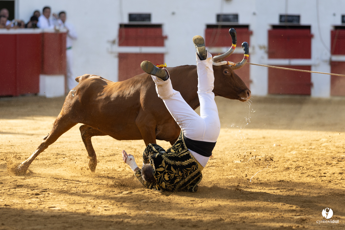 Nogaro Championnat de France de course landaise 2022