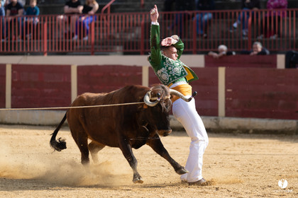 Course landaise Le Houga Ganadéria Dussau Cuadrilla Alexandre Brethes