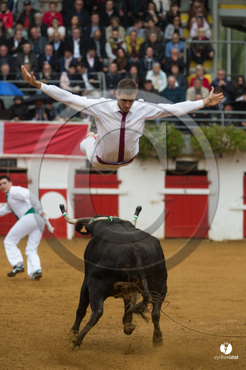Nogaro Championnatde France de Course Landaise 2017