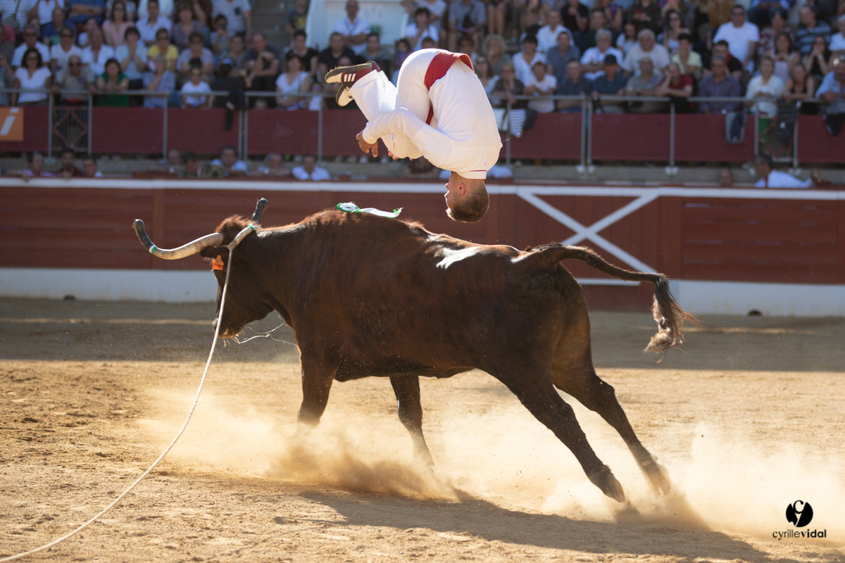 Mont-de-Marsan championnat de France de course landaise 2019