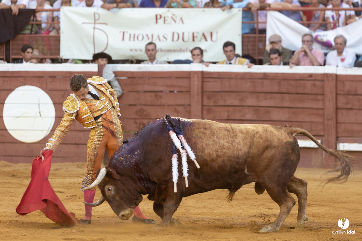 Corrida de Villeneuve-de-Marsan