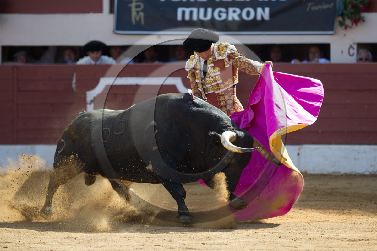 corrida, toro, vic fezensac, alcurrucen, michelito, morenito de aranda